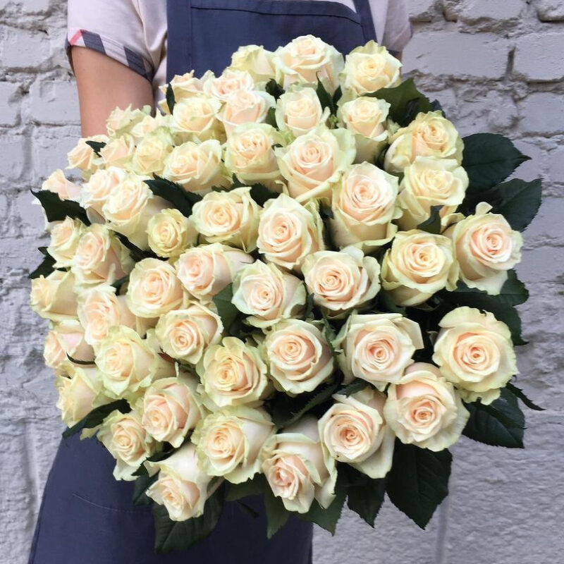 51 Кремовая Роза